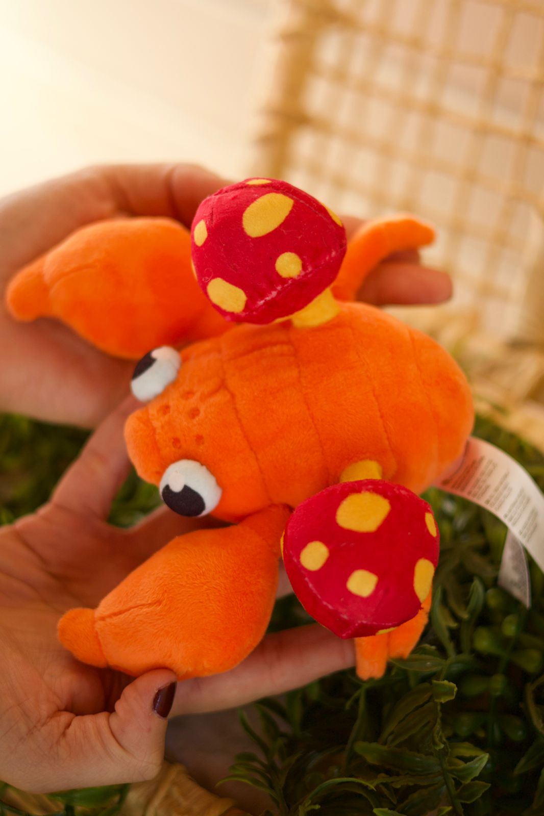 Pelúcia Pokemon Fit Paras ORIGINAL