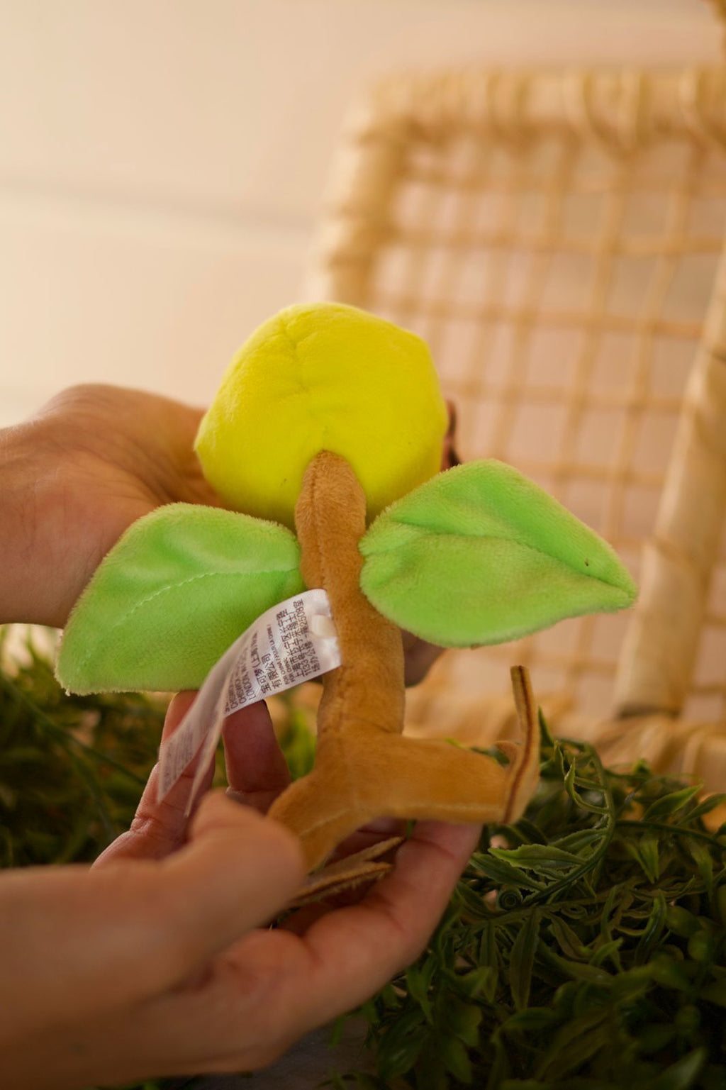 Pelúcia Pokemon Fit Bellsprout ORIGINAL